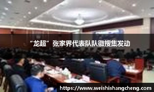 “龙超”张家界代表队队徽搜集发动
